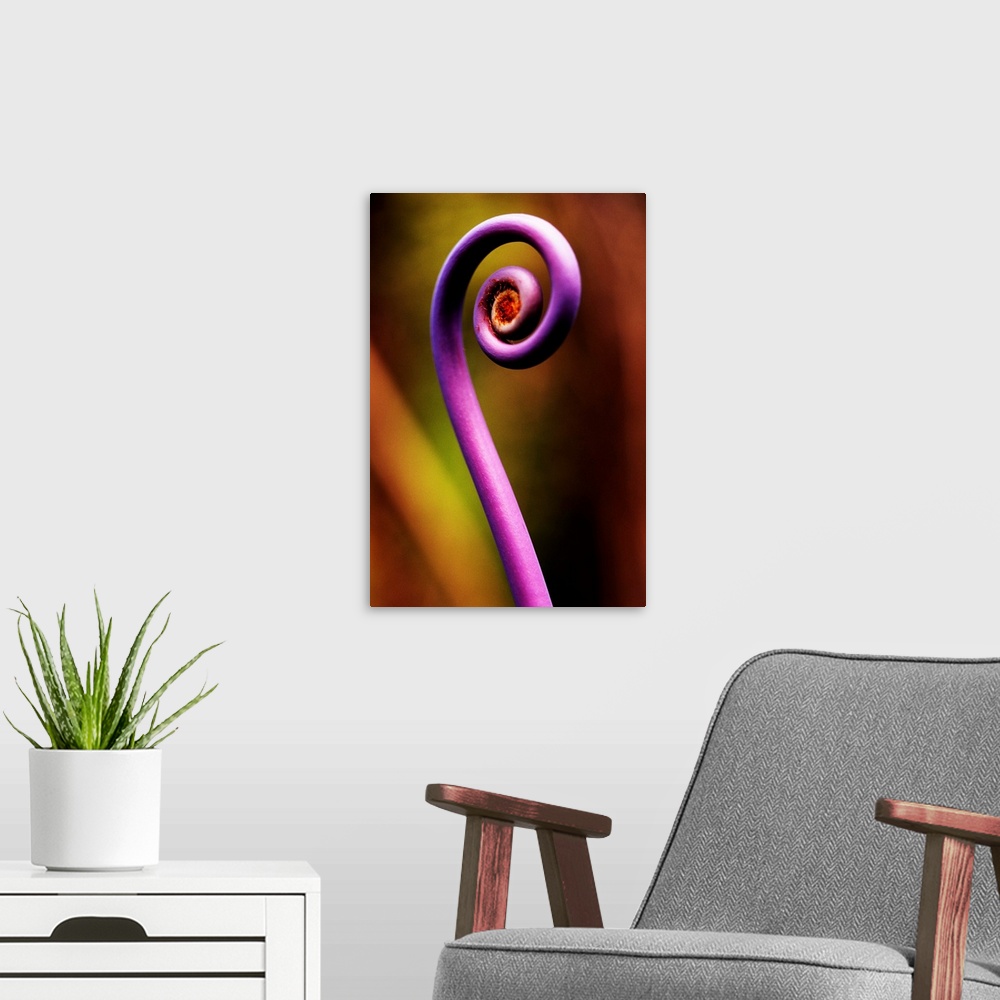 A modern room featuring A purple stem is photographed very closely with the background pictured out of focus.