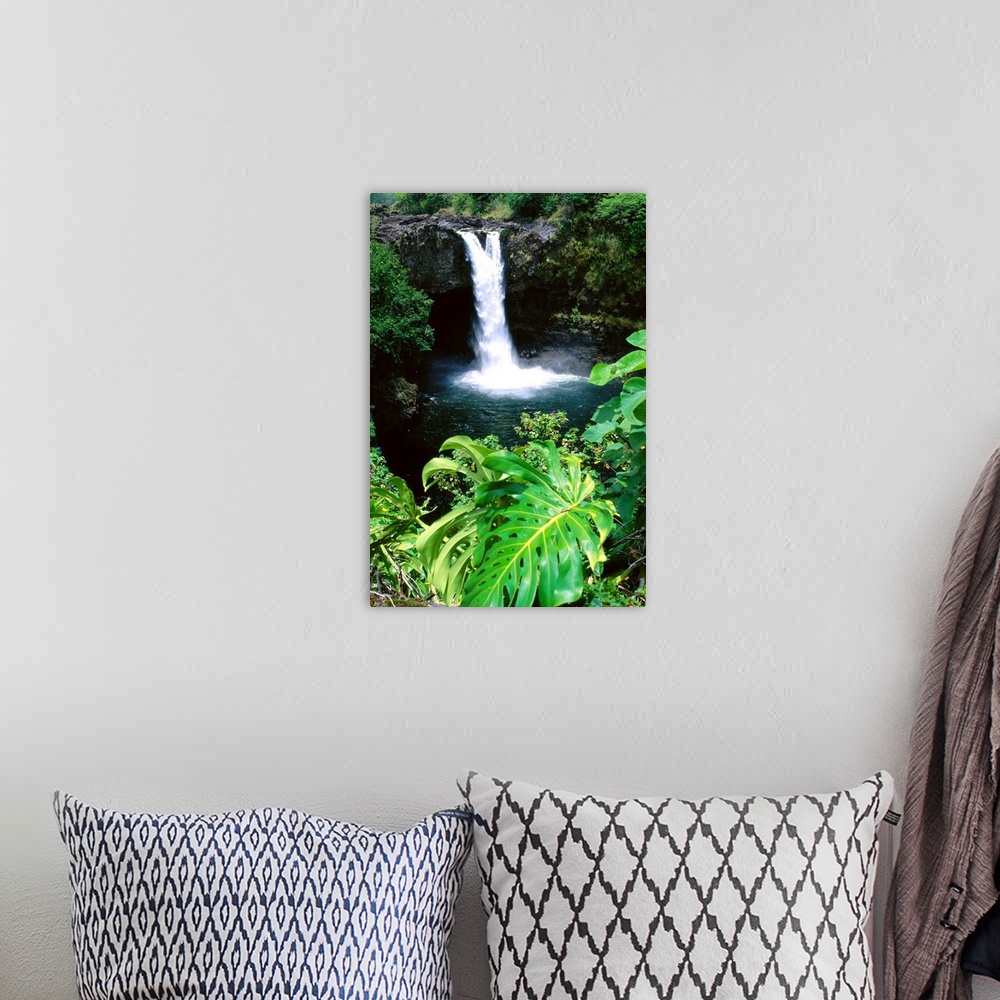 A bohemian room featuring Hawaii, Big Island, Hilo, Rainbow Falls State Park, Greenery Surrounding