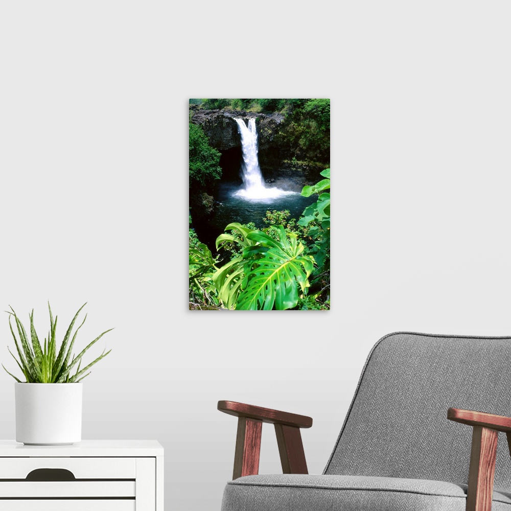 A modern room featuring Hawaii, Big Island, Hilo, Rainbow Falls State Park, Greenery Surrounding