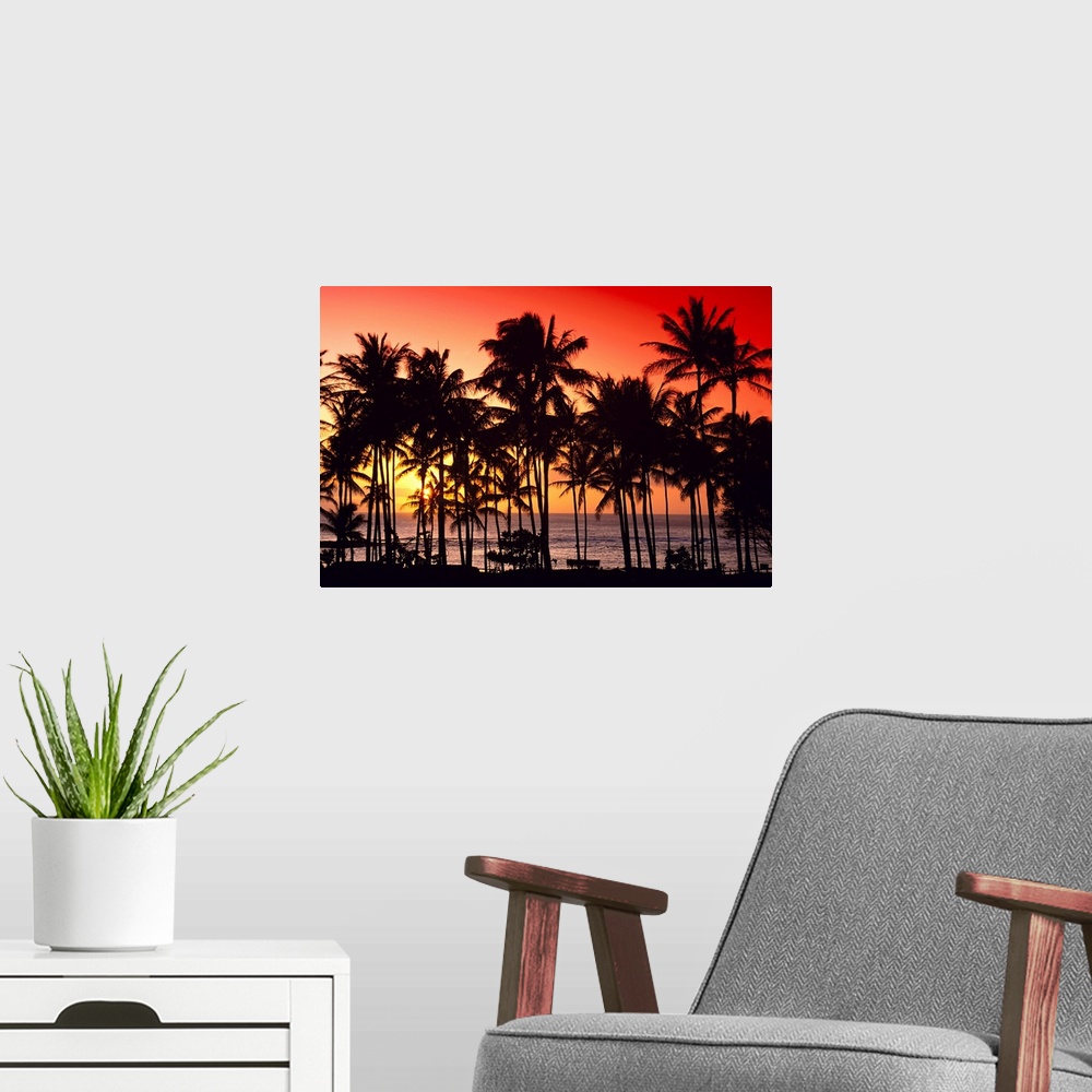 A modern room featuring Hawaii, Big Island, Kohala Coast, Red Sunset, Orange Sky, Palms