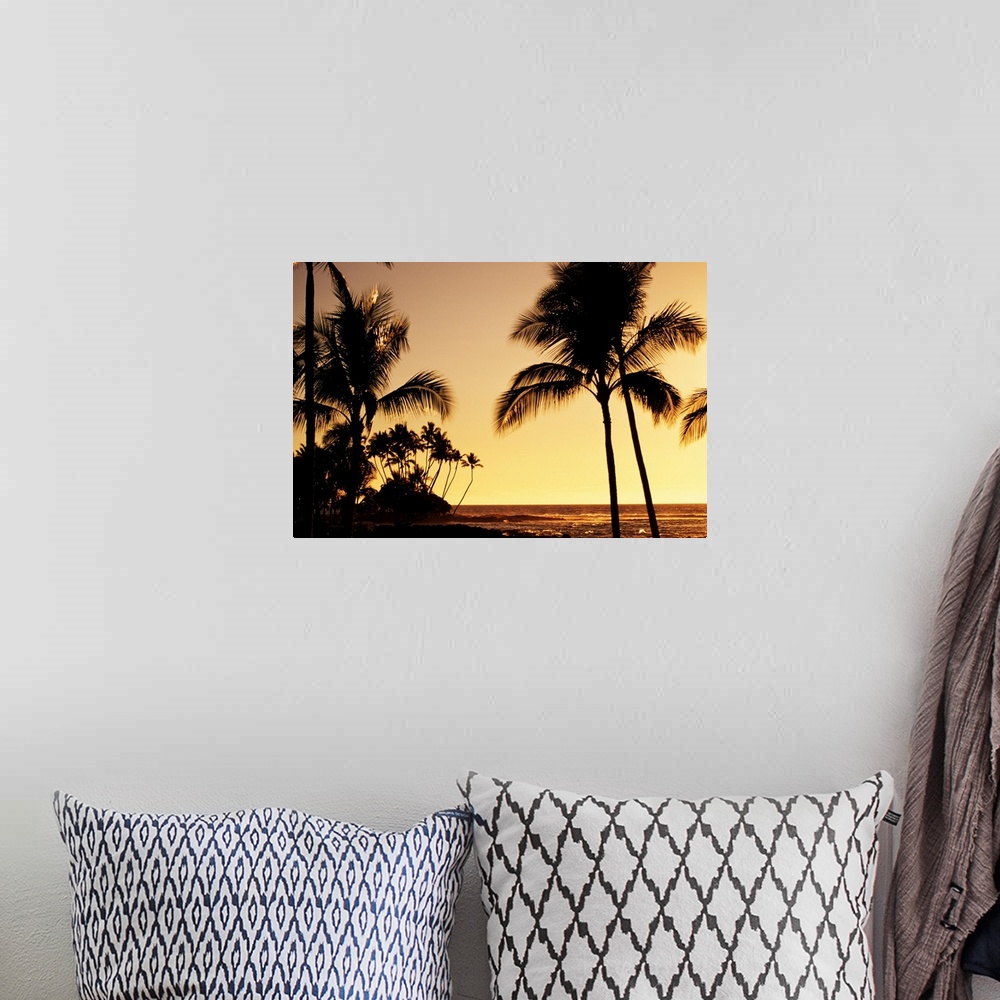 A bohemian room featuring Hawaii, Big Island, Mauna Lani Resort, Ocean And Silhouetted Palm Trees At Sunset
