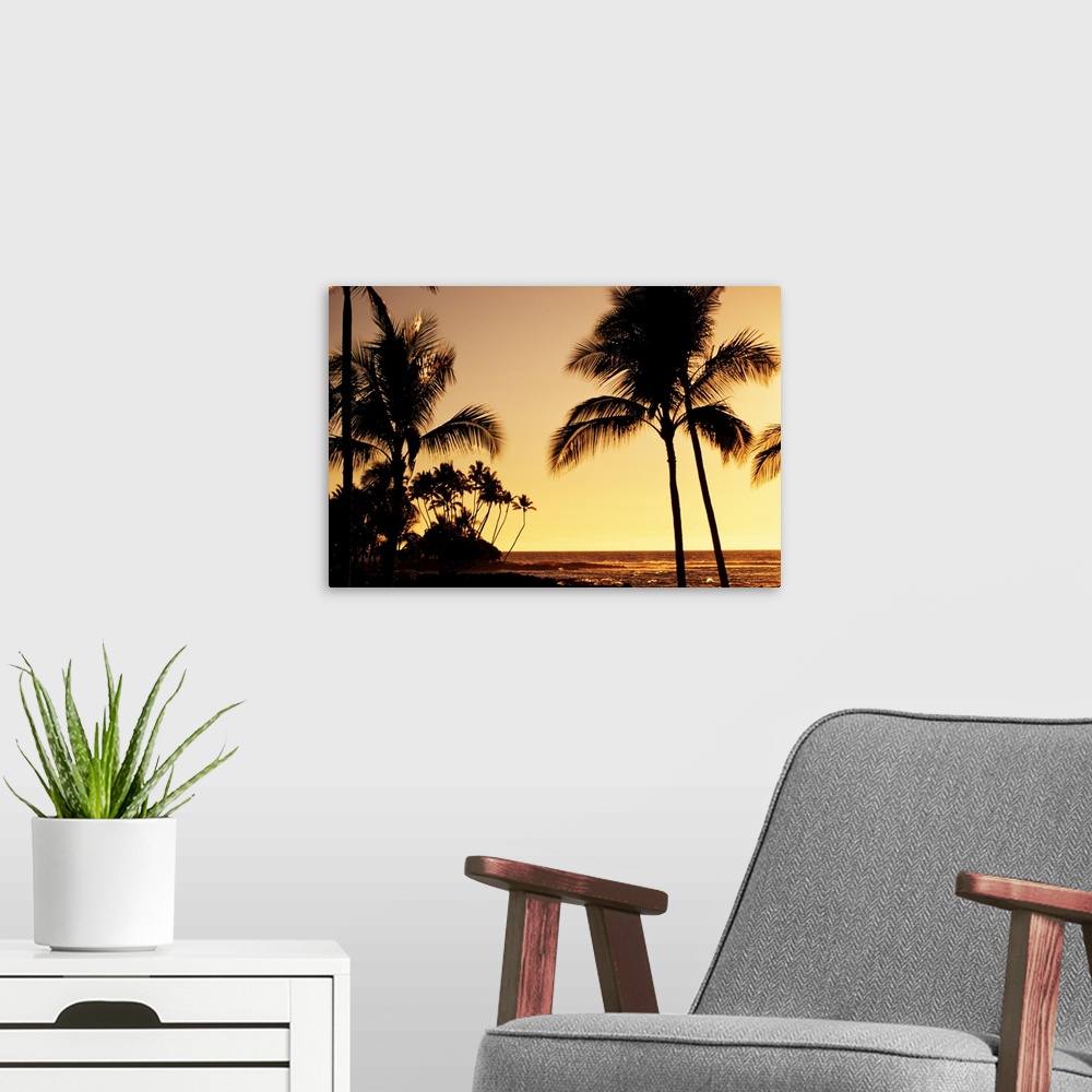 A modern room featuring Hawaii, Big Island, Mauna Lani Resort, Ocean And Silhouetted Palm Trees At Sunset