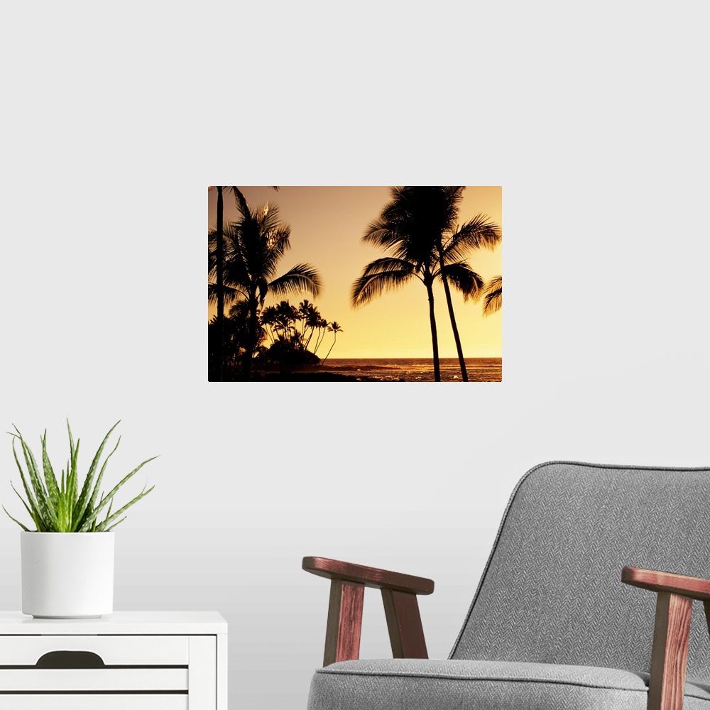A modern room featuring Hawaii, Big Island, Mauna Lani Resort, Ocean And Silhouetted Palm Trees At Sunset