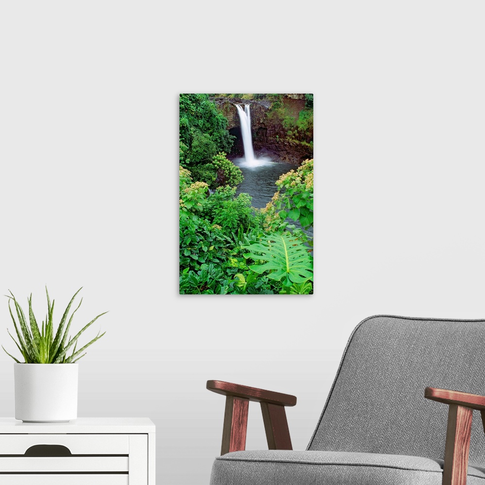 A modern room featuring Hawaii, Big Island, Rainbow Falls, Pool Surrounded By Tropical Foliage