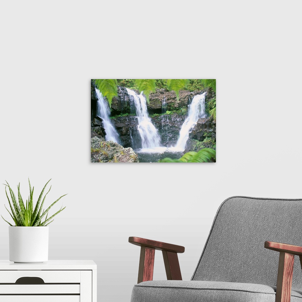 A modern room featuring Hawaii, Big Island, Rainforest Waterfalls, Three Waterfalls Feed