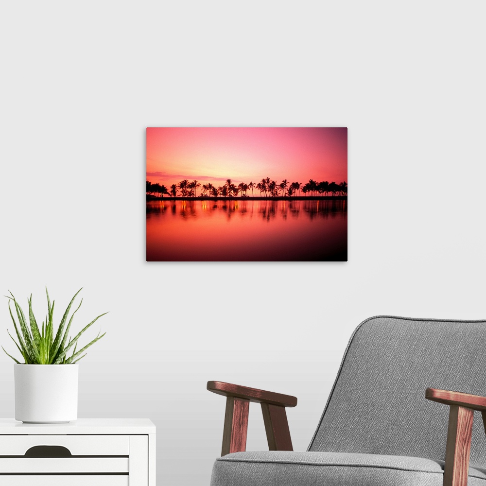 A modern room featuring Hawaii, Big Island, Royal Waikoloa, Line Of Palms At Sunset