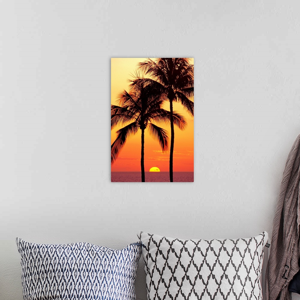 A bohemian room featuring Hawaii, Big Island, Sunset With Coconut Trees On Kohala Coast