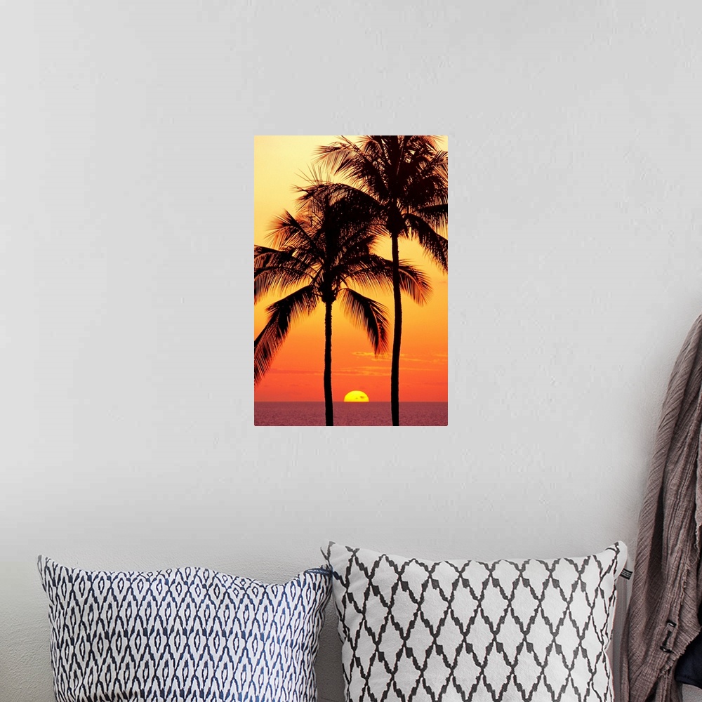 A bohemian room featuring Hawaii, Big Island, Sunset With Coconut Trees On Kohala Coast