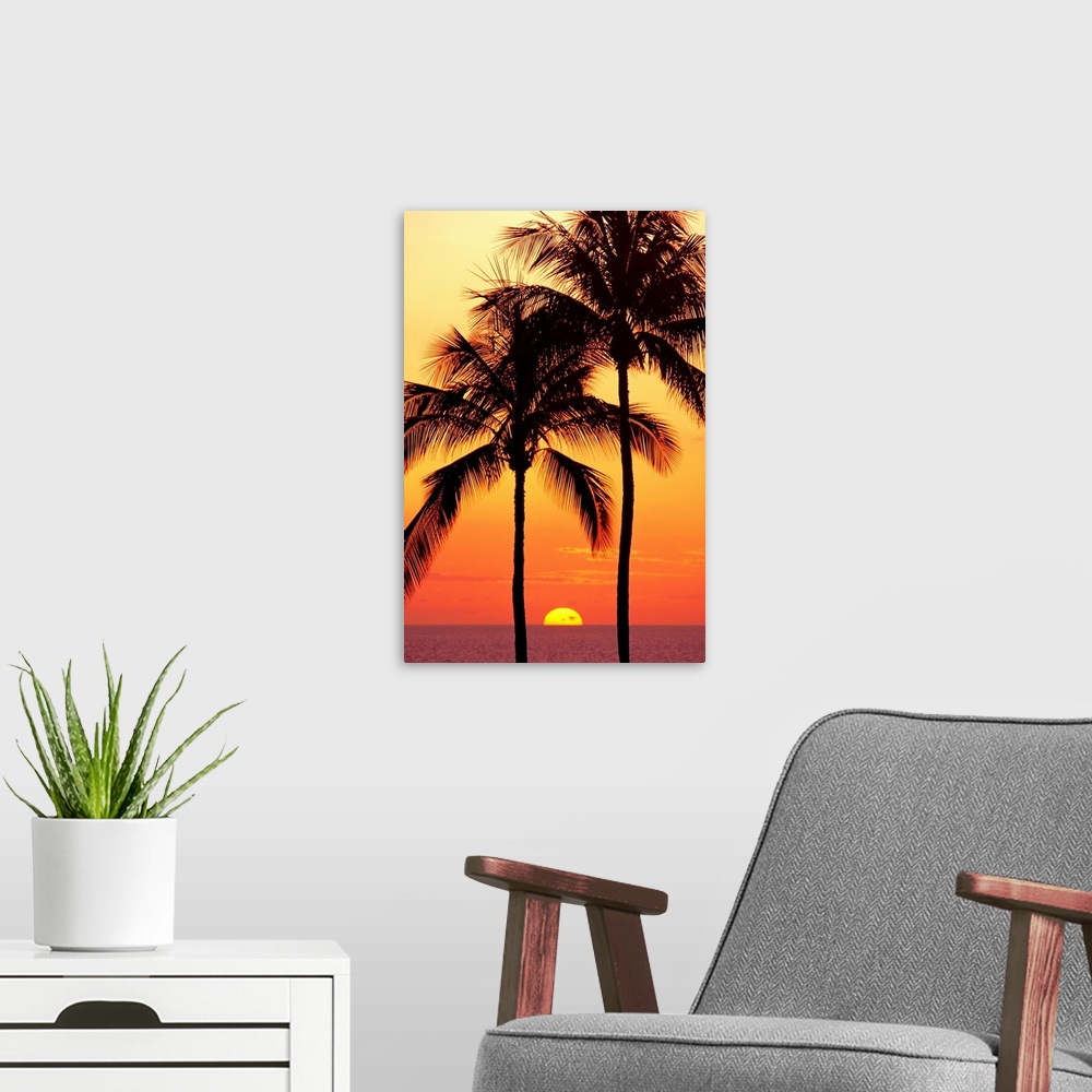 A modern room featuring Hawaii, Big Island, Sunset With Coconut Trees On Kohala Coast