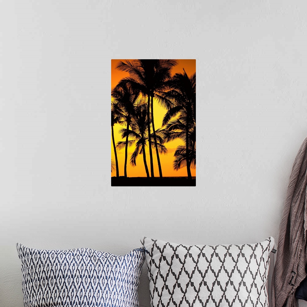 A bohemian room featuring Hawaii, Big Island, View Of Palm Trees Silhouetted By Fiery Sun