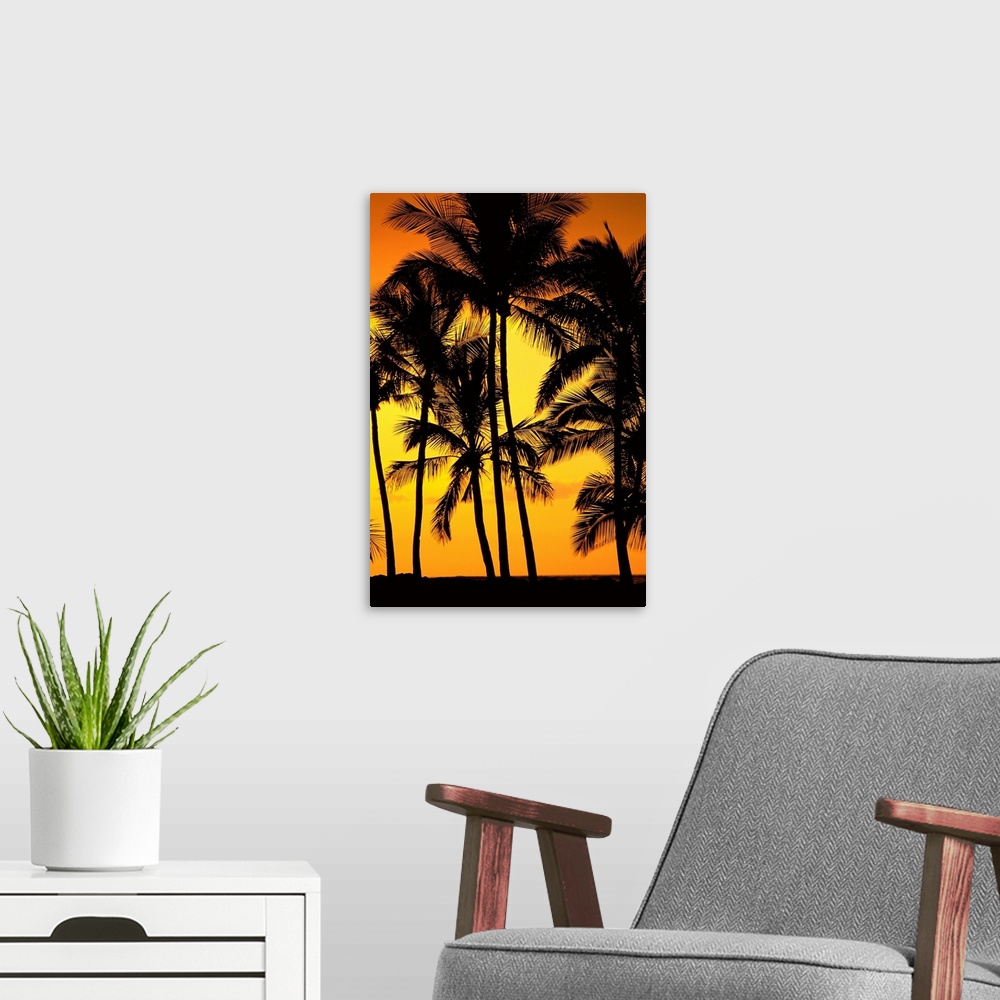 A modern room featuring Hawaii, Big Island, View Of Palm Trees Silhouetted By Fiery Sun