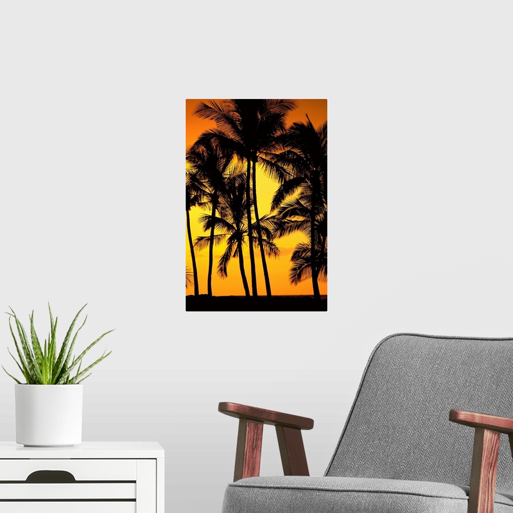 A modern room featuring Hawaii, Big Island, View Of Palm Trees Silhouetted By Fiery Sun