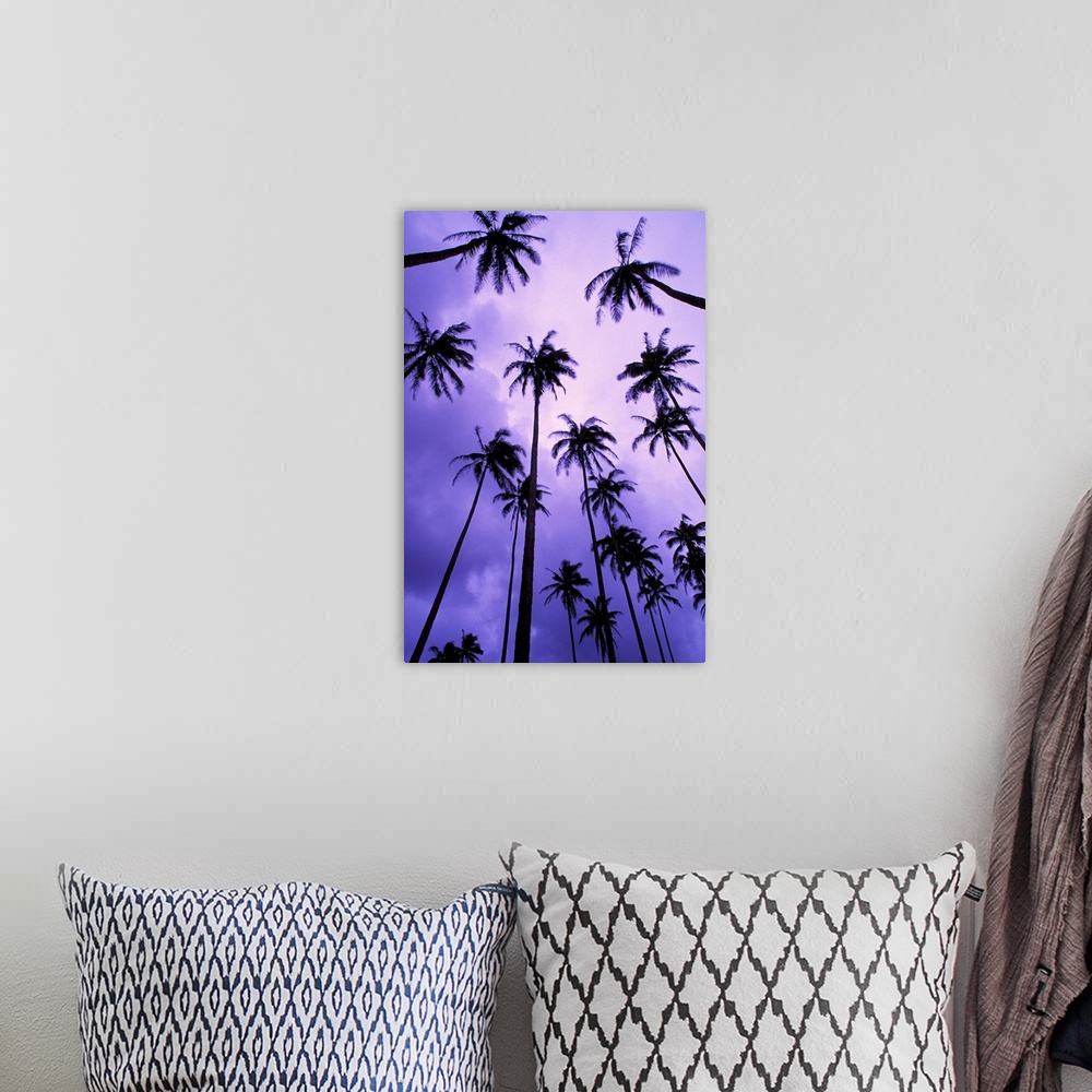 A bohemian room featuring Hawaii, Kauai, Coconut Palm Trees Silhouetted At Dawn Against Purple Sky