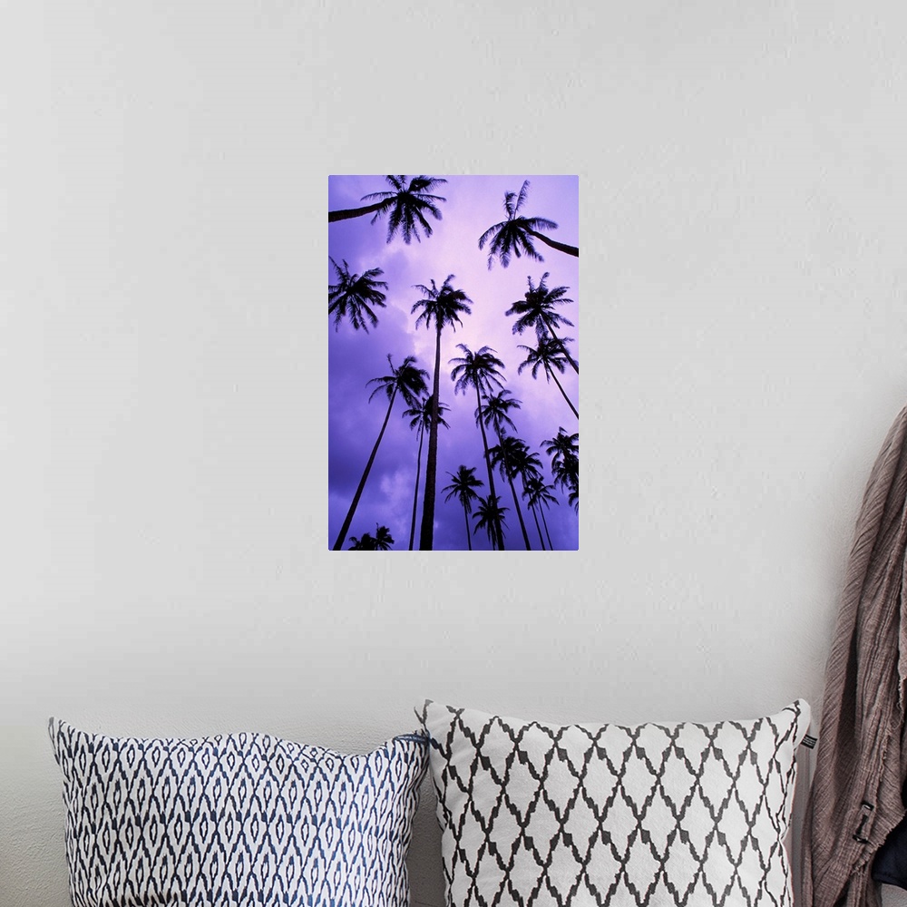 A bohemian room featuring Hawaii, Kauai, Coconut Palm Trees Silhouetted At Dawn Against Purple Sky
