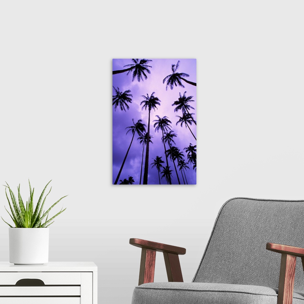A modern room featuring Hawaii, Kauai, Coconut Palm Trees Silhouetted At Dawn Against Purple Sky