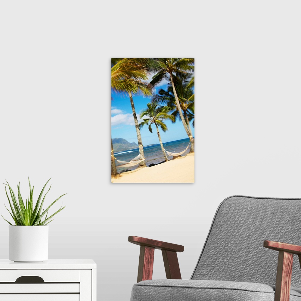 A modern room featuring Hawaii, Kauai, Hanalei Bay Princeville, Two Hammocks Hang Between Palm Trees
