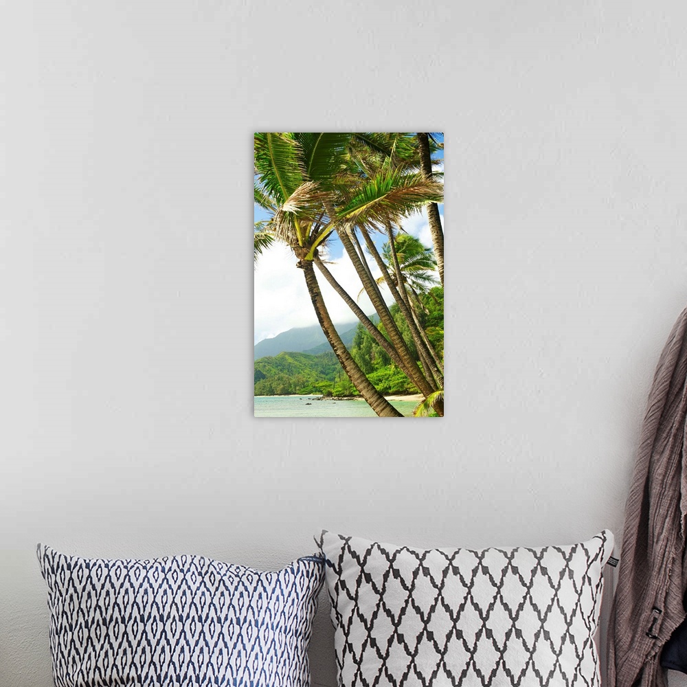 A bohemian room featuring Hawaii, Kauai, North Shore, Coconut Palm Trees Along Coastline