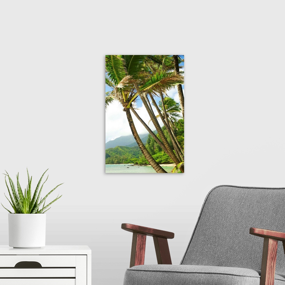 A modern room featuring Hawaii, Kauai, North Shore, Coconut Palm Trees Along Coastline