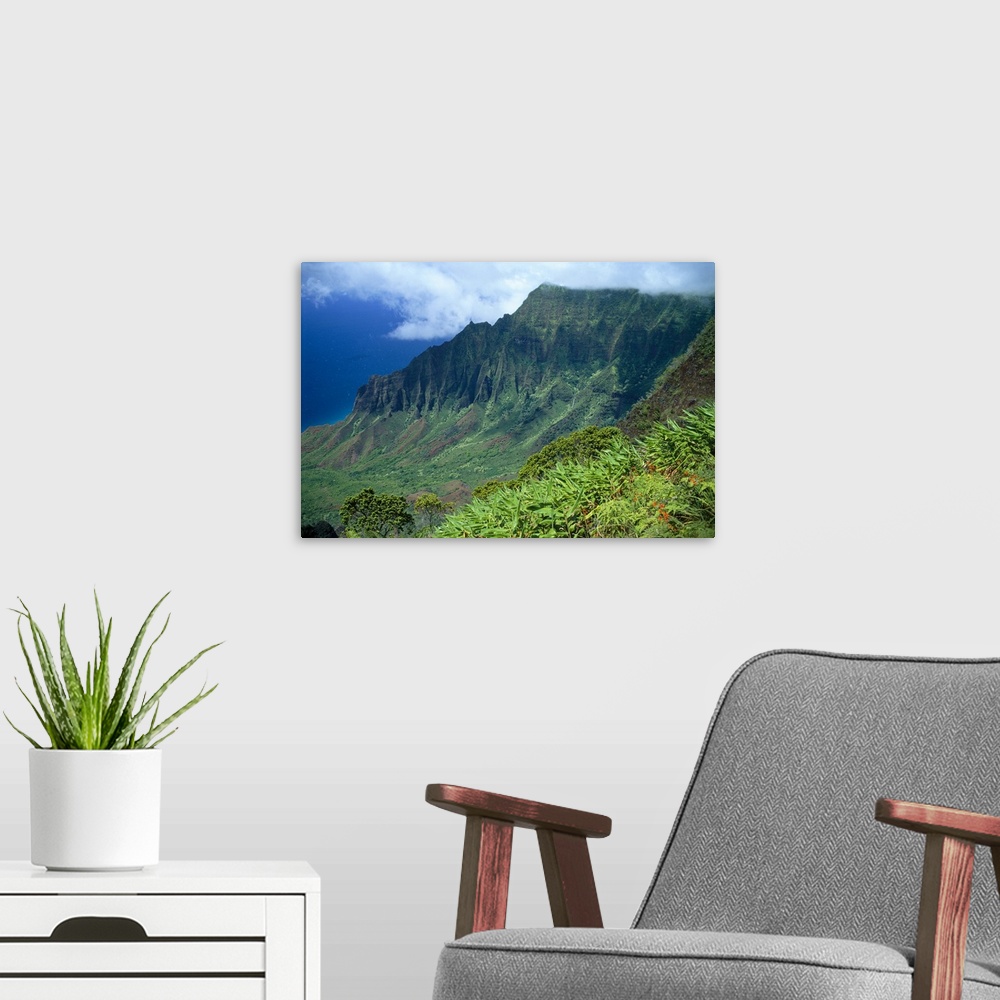 A modern room featuring Hawaii, Kauai, North Shore, Kalalau Valley, Kokee State Park