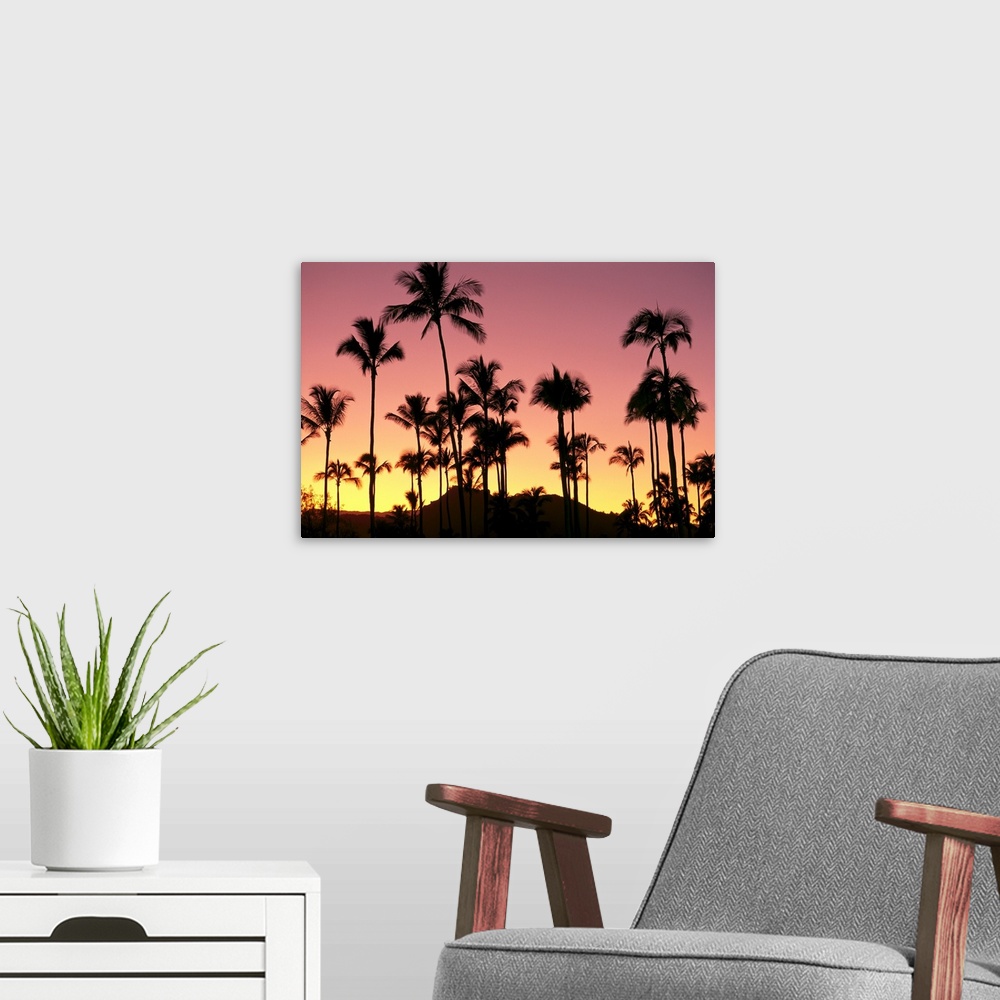 A modern room featuring Hawaii, Kauai, Sleeping Giant And Coconut Grove At Sunset