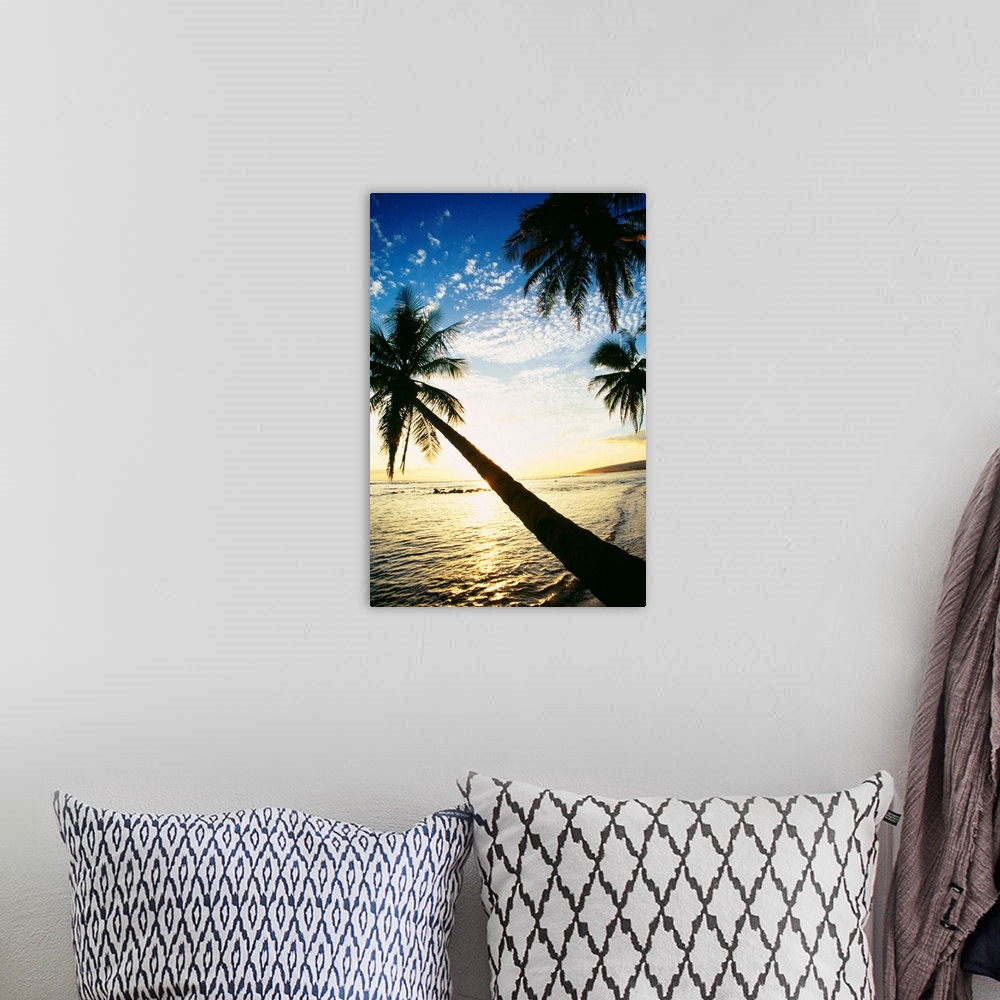 A bohemian room featuring Hawaii, Kauai, Waimea, Tall Palm Over Ocean At Sunset With Bright Golden Reflections