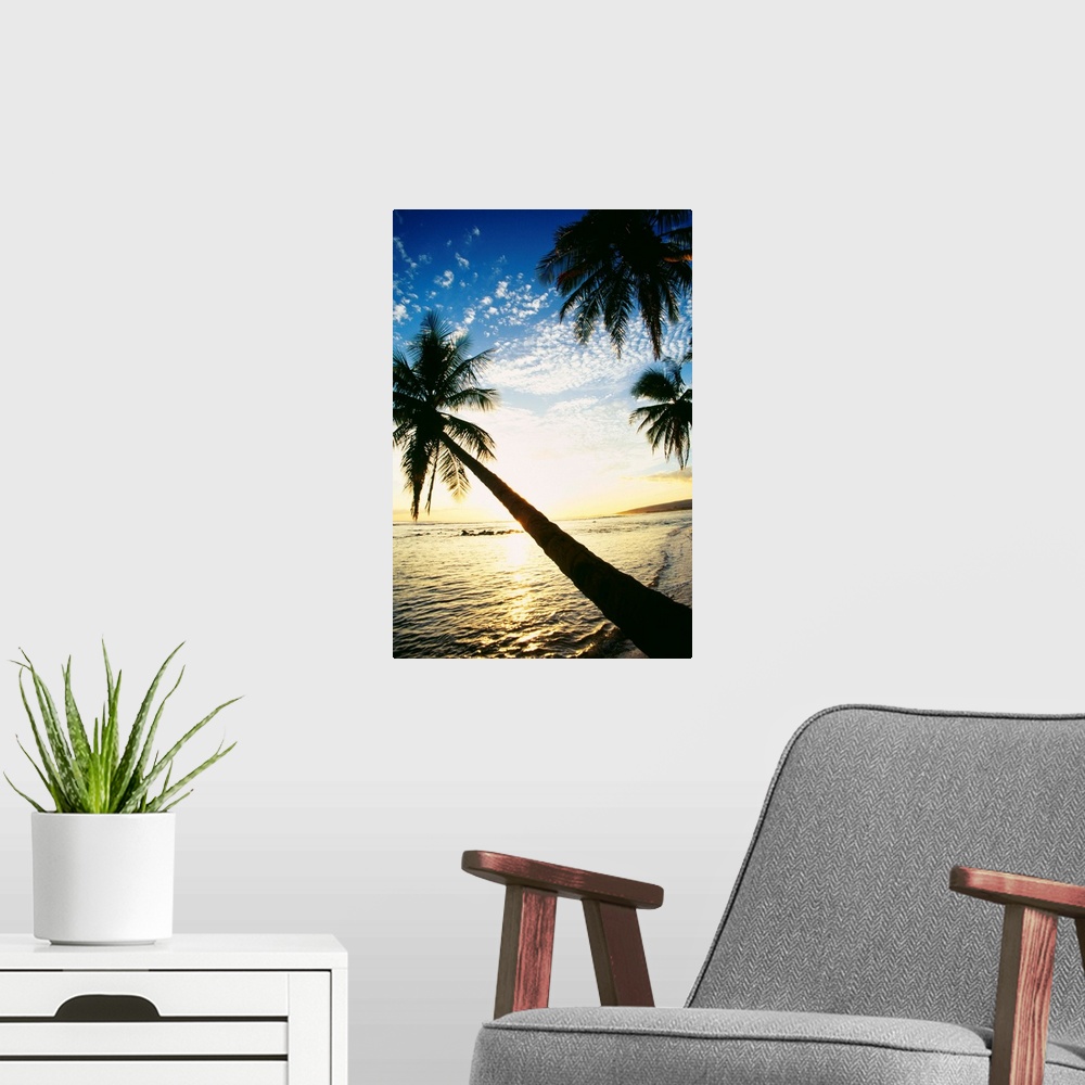 A modern room featuring Hawaii, Kauai, Waimea, Tall Palm Over Ocean At Sunset With Bright Golden Reflections