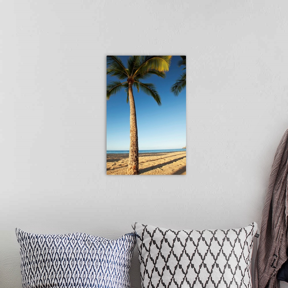 A bohemian room featuring Hawaii, Lanai, Hulope Beach, Tall Palm Trees On A Beautiful Beach