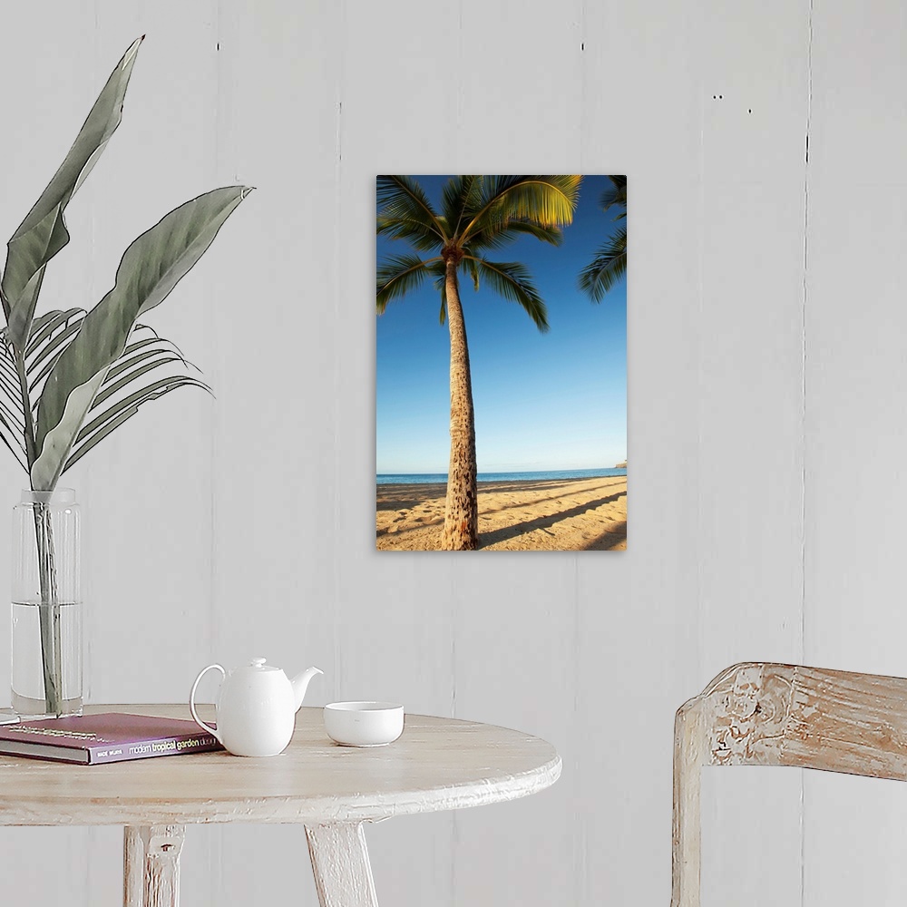 A farmhouse room featuring Hawaii, Lanai, Hulope Beach, Tall Palm Trees On A Beautiful Beach