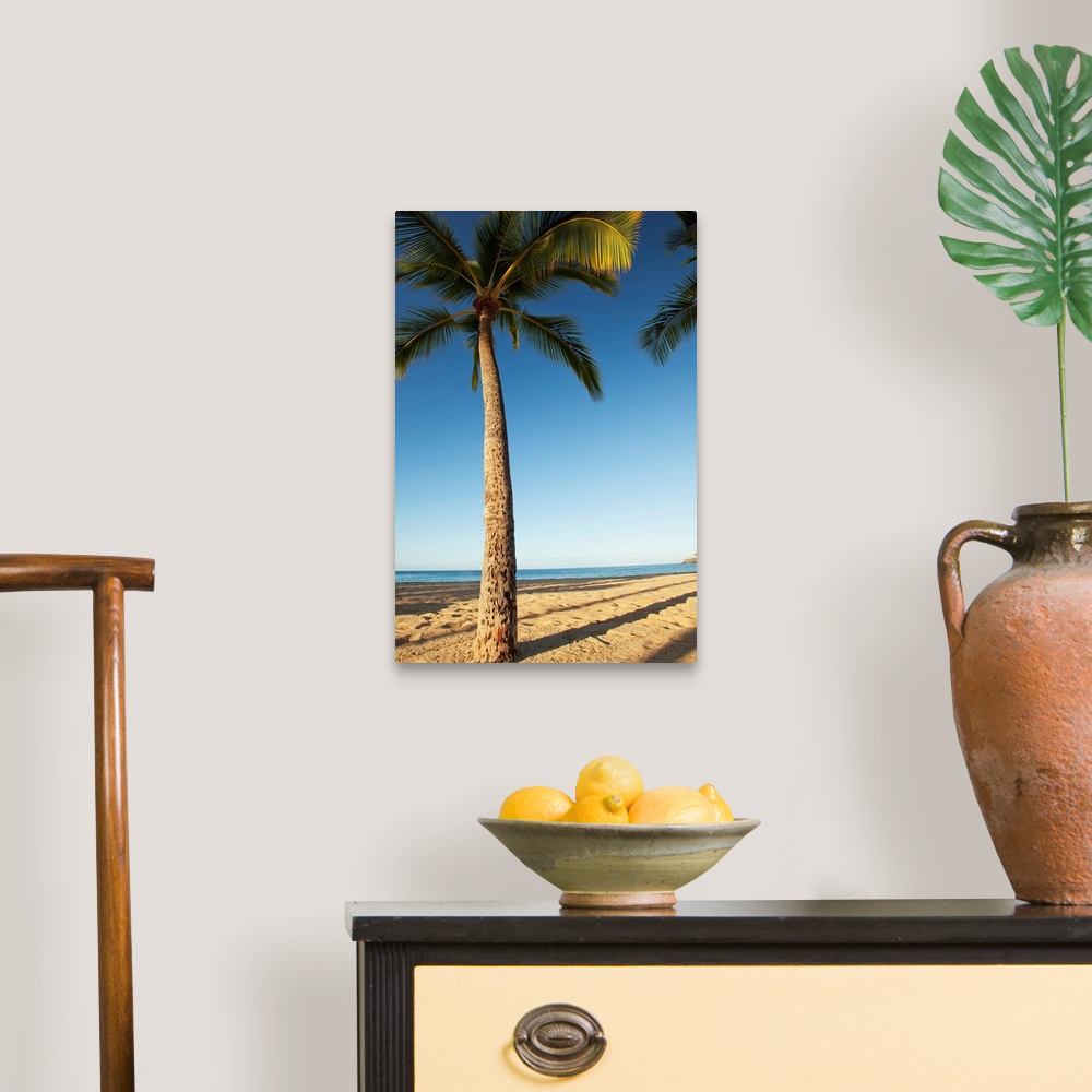 A traditional room featuring Hawaii, Lanai, Hulope Beach, Tall Palm Trees On A Beautiful Beach