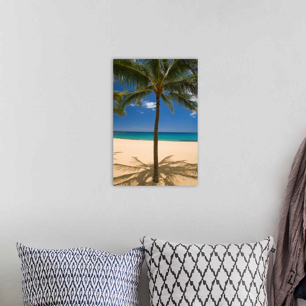 A bohemian room featuring Hawaii, Lanai, Hulopoe Beach, Palm Tree Centered With Sandy Beach And Turquoise Ocean