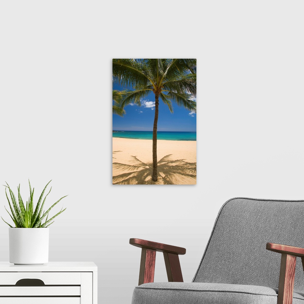 A modern room featuring Hawaii, Lanai, Hulopoe Beach, Palm Tree Centered With Sandy Beach And Turquoise Ocean