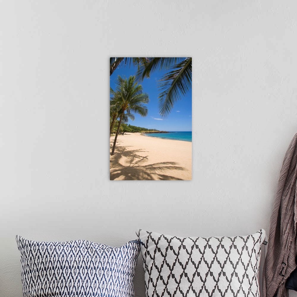 A bohemian room featuring Hawaii, Lanai, Hulopoe Beach, Palm Trees And Shadows Along Sandy Beach