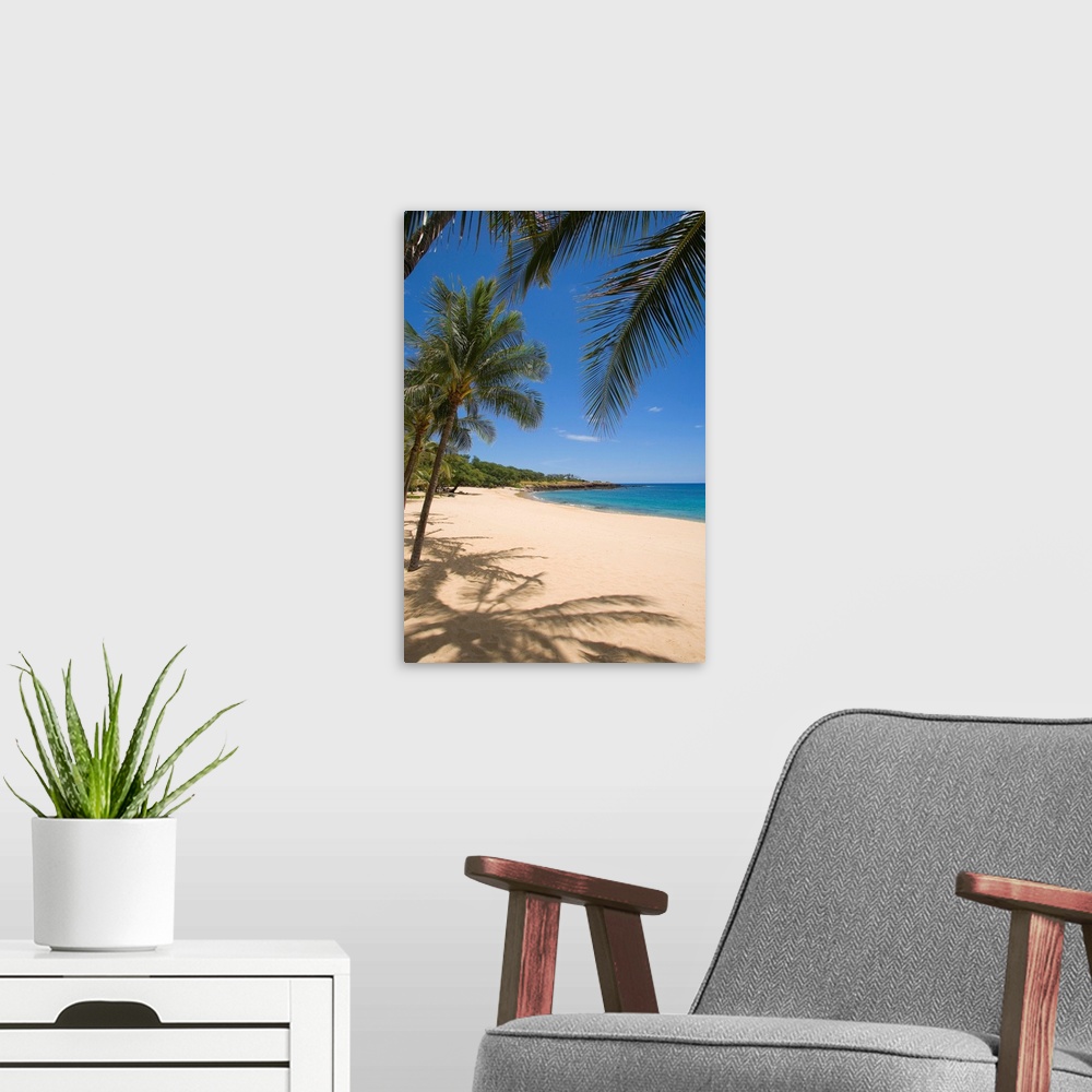 A modern room featuring Hawaii, Lanai, Hulopoe Beach, Palm Trees And Shadows Along Sandy Beach
