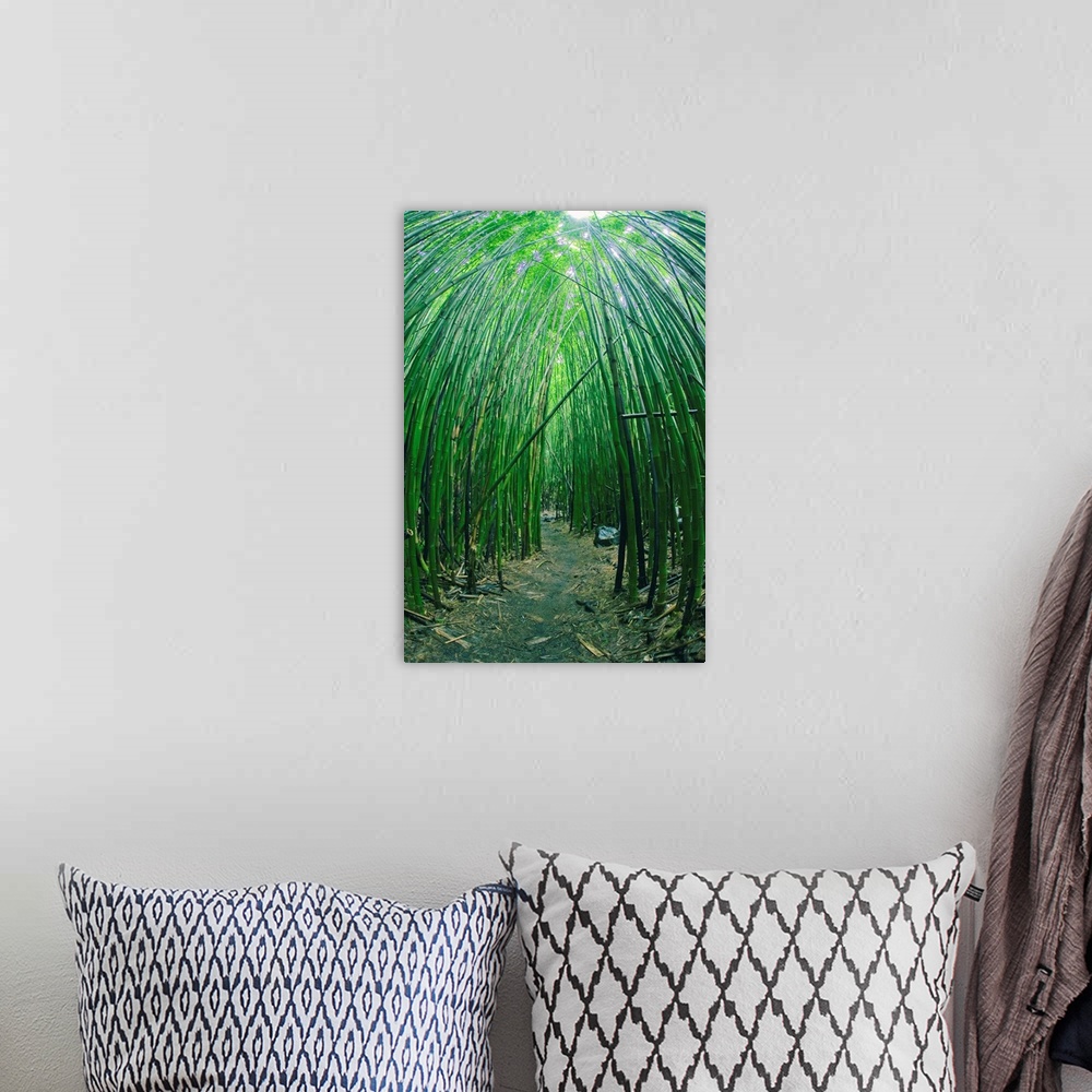 A bohemian room featuring Hawaii, Maui, Bamboo Forest