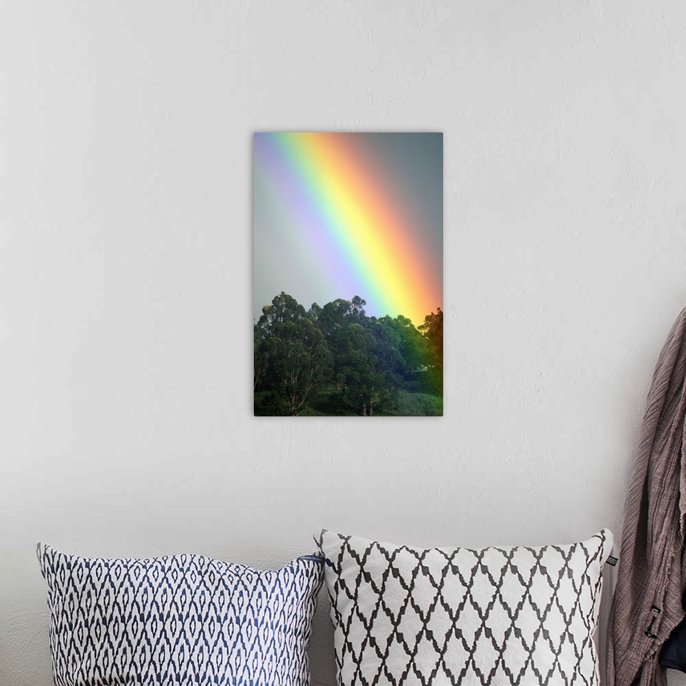 A bohemian room featuring Hawaii, Maui, Haiku, Bright Rainbow In Misty Skies Over Trees