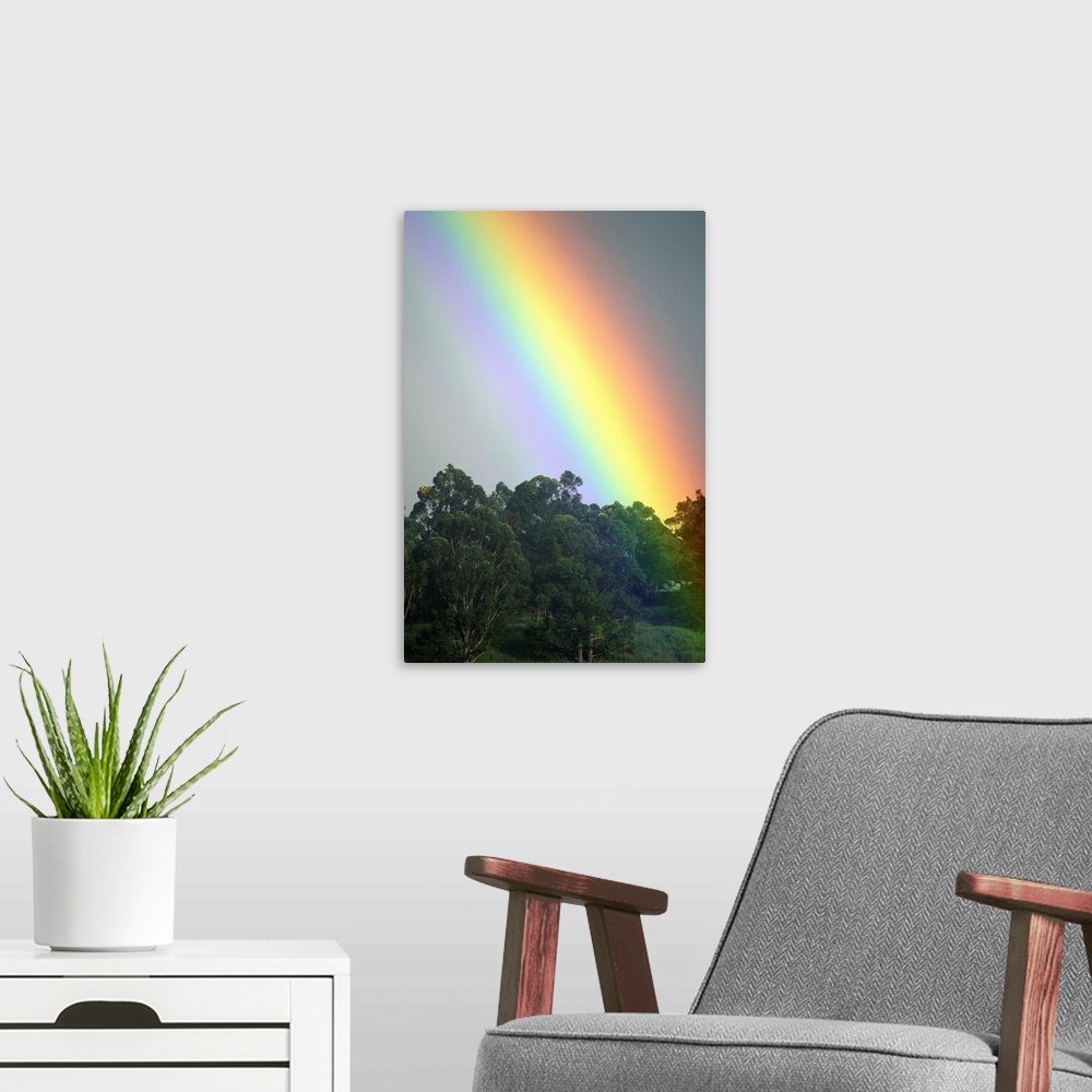 A modern room featuring Hawaii, Maui, Haiku, Bright Rainbow In Misty Skies Over Trees