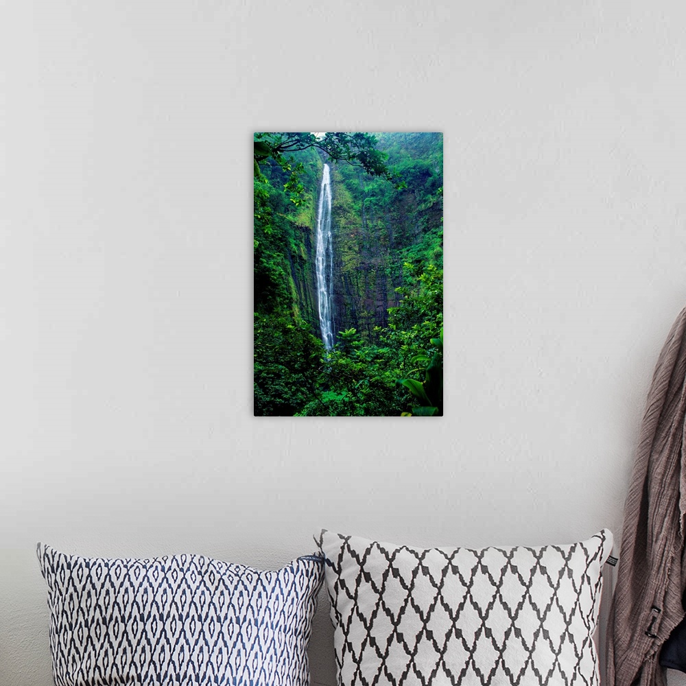 A bohemian room featuring Hawaii, Maui, Hana, Oheo Gorge, Waimoku Falls, And Rainforest