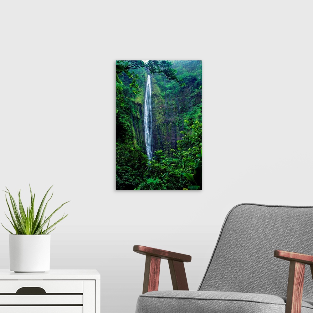 A modern room featuring Hawaii, Maui, Hana, Oheo Gorge, Waimoku Falls, And Rainforest