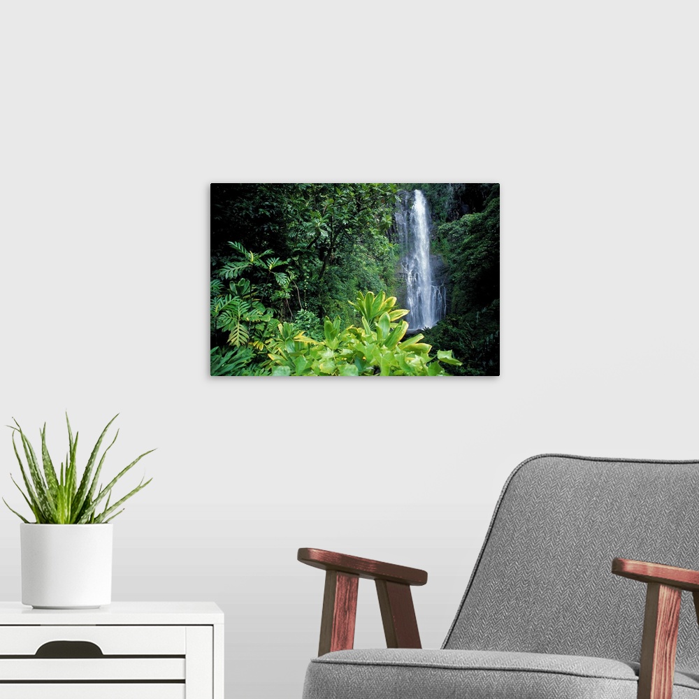 A modern room featuring Hawaii, Maui, Hana, Wailea Falls, Surrounded By Lush Greenery