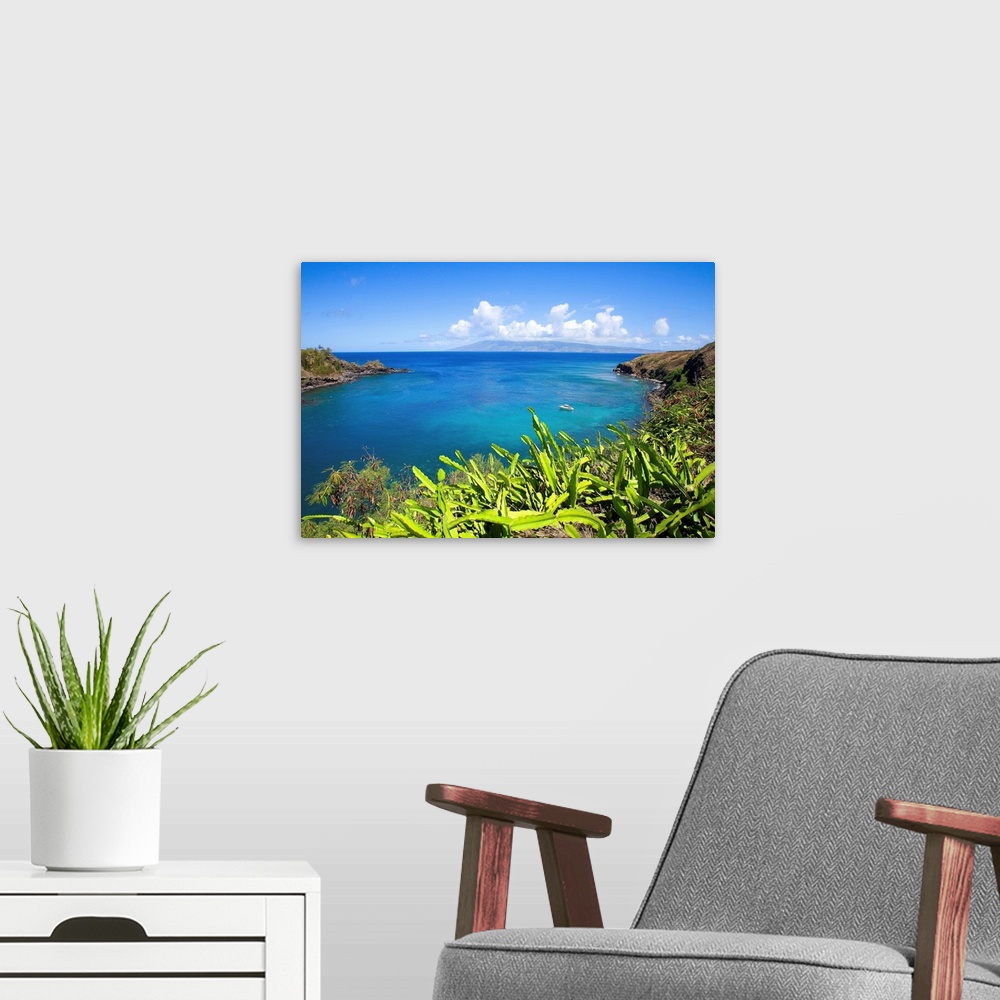 A modern room featuring Hawaii, Maui, Honolua Bay, Green Brush Overlooking Bright Blue Water
