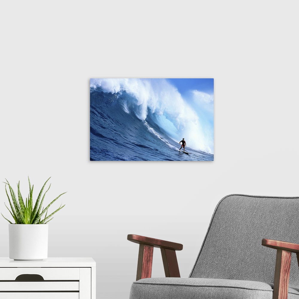 A modern room featuring Hawaii, Maui, Jaws, Sierra Emory Looks At Camera