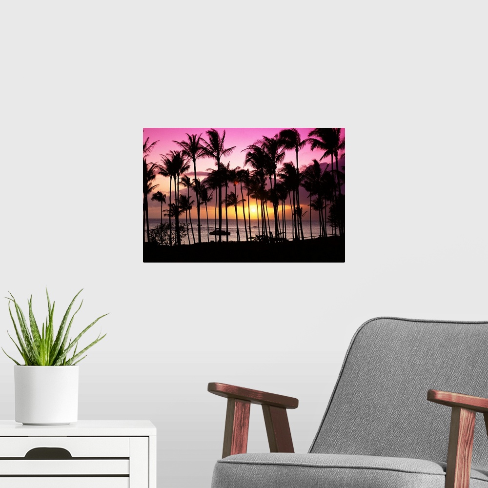 A modern room featuring Hawaii, Maui, Kapalua Bay, Tropical Sunset, Palms Silhouette