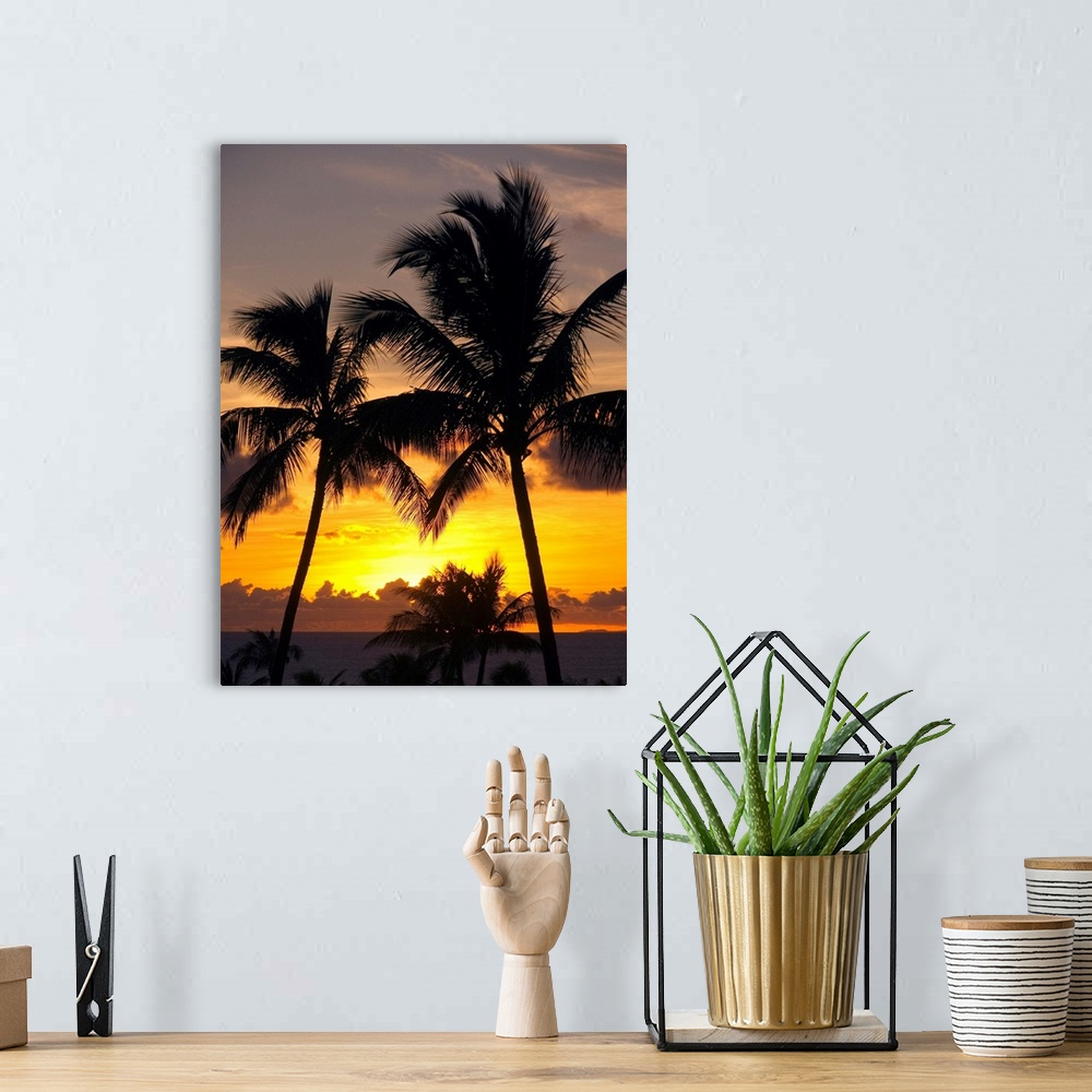 A bohemian room featuring Hawaii, Maui, Kapalua, Palm Trees At Sunset