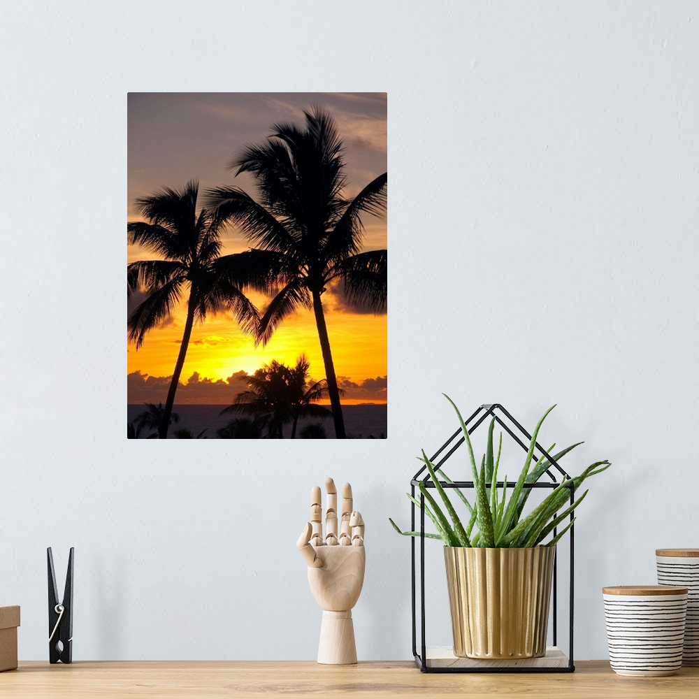 A bohemian room featuring Hawaii, Maui, Kapalua, Palm Trees At Sunset