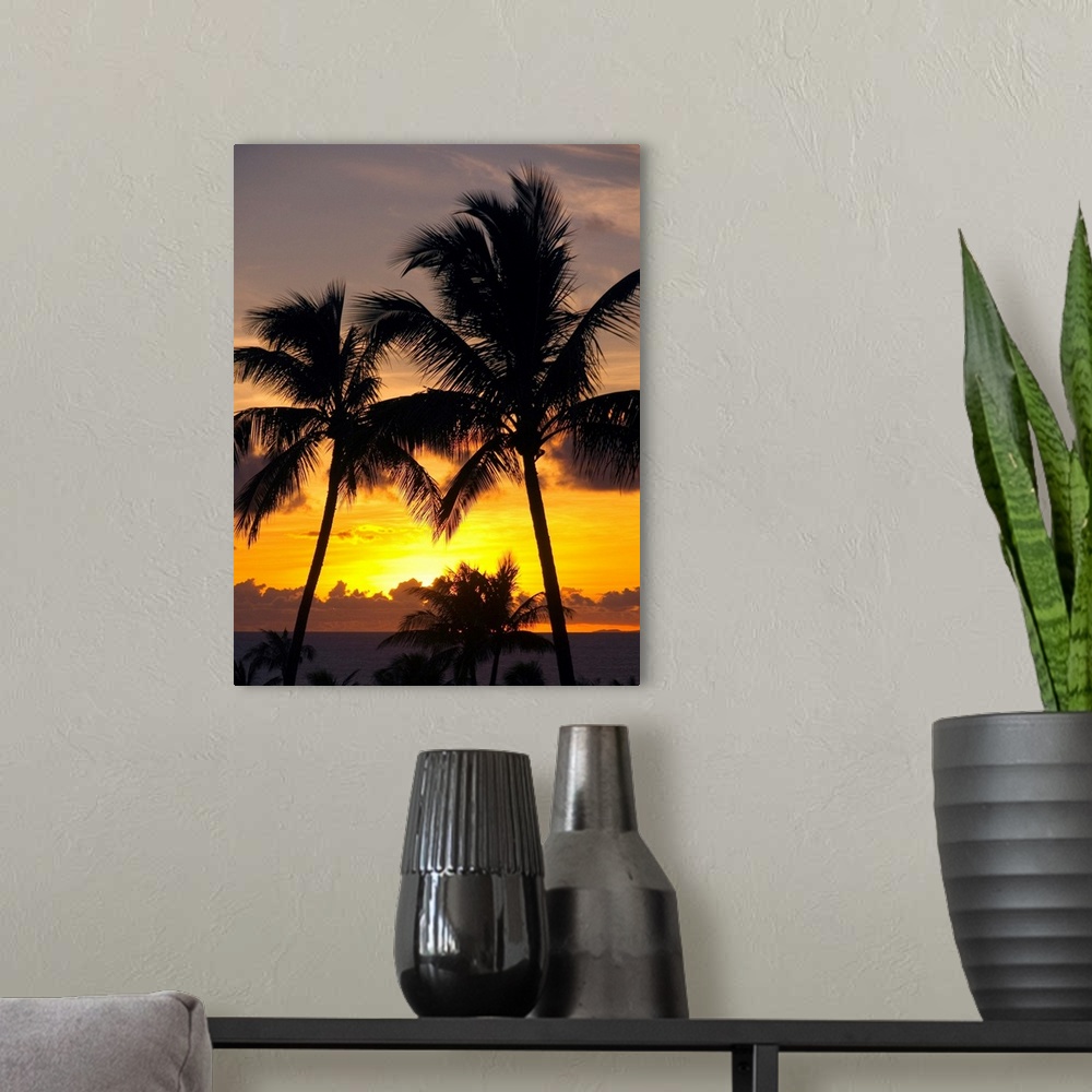 A modern room featuring Hawaii, Maui, Kapalua, Palm Trees At Sunset