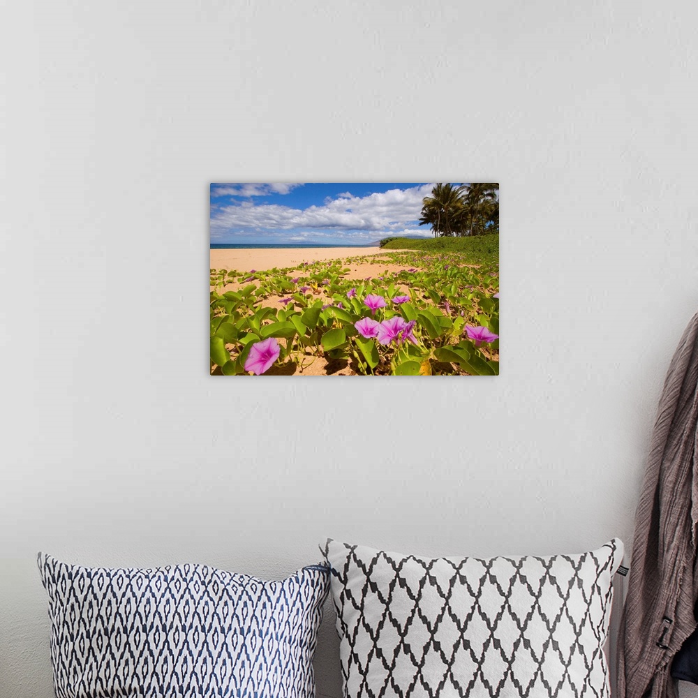 A bohemian room featuring Hawaii, Maui, Kihei, Keawakapu Beach, Green Leafy Vines With Pink Flowers On Shore