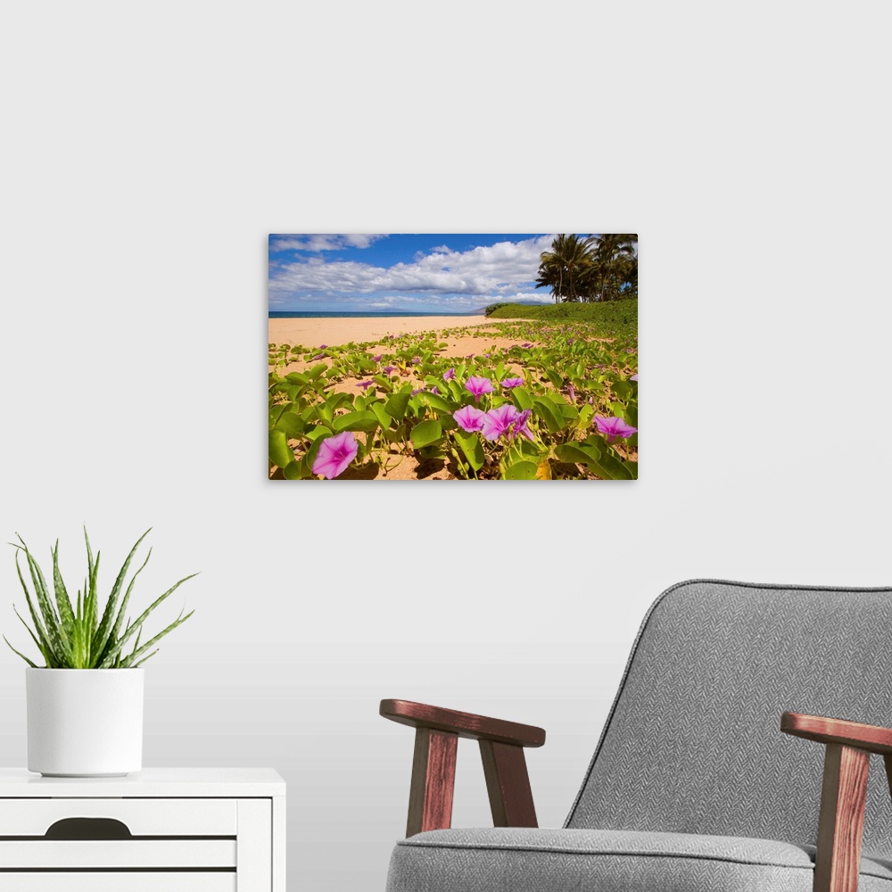 A modern room featuring Hawaii, Maui, Kihei, Keawakapu Beach, Green Leafy Vines With Pink Flowers On Shore