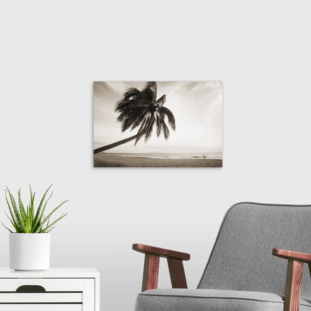 A modern room featuring Hawaii, Maui, Kihei, Palm tree over beach, Couple along shoreline in distance