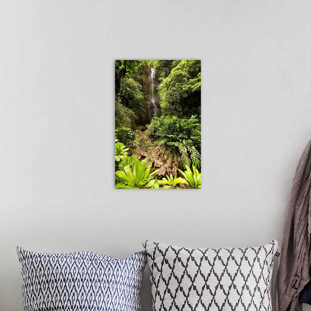 A bohemian room featuring Hawaii, Maui, Kipahulu, Hana Coast, Wailua Falls Surrounded By Foliage