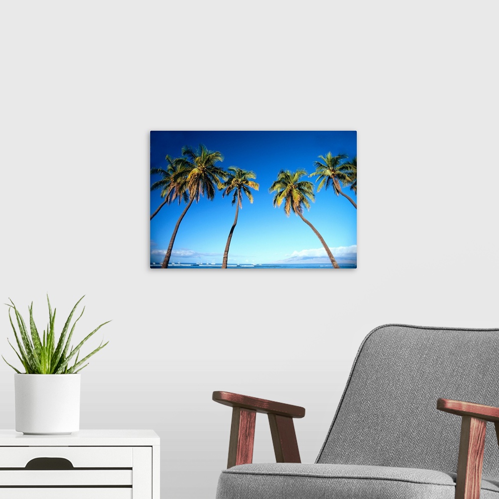 A modern room featuring Hawaii, Maui, Lahaina, Coconut Palm Trees Along Ocean, Blue Sky